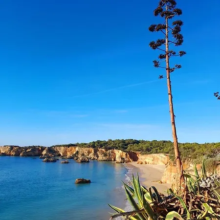 Harmony Портіман