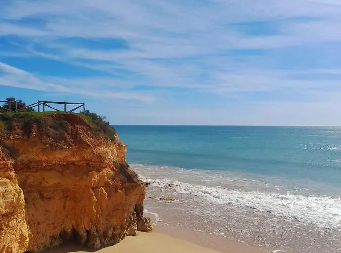 Harmony ポルティマン